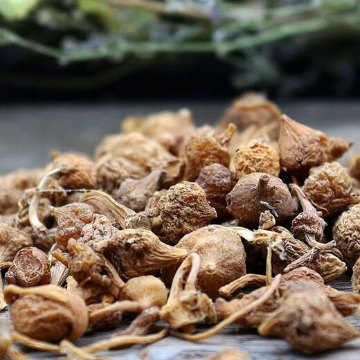 Peking Tongrentang Yunnan High Mountain Wild Bead Ginseng Knopf Qizhuer Ginseng Authentische chinesische medizinische Materialien Peitsche Zanqi Wild Zanqi Trockenwaren Bead Ginseng 50g