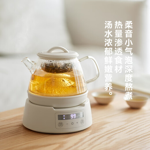 Olayks instant pure titanium health pot teapot steaming teapot teapot spray type mini small one person mother and baby grade material girl gift