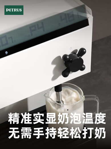 PETRUS PE3888PRO Máquina de café en blanco liso Pequeño hogar americano italiano Full semiautomático Comercial blanco