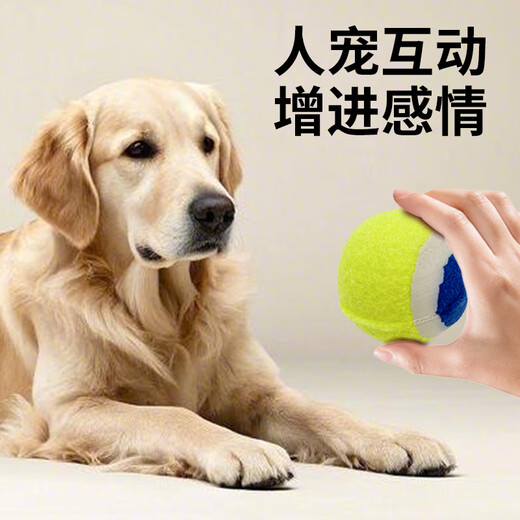 ZanChong Pet Dog Teething Training Ball 4 Pack Puppy Small Dog Toy Bite-resistant Teething Ball Pet Puppy Small Self-Happiness
