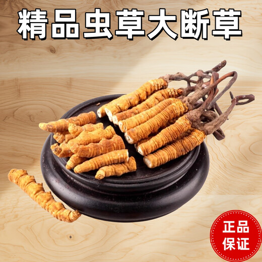 Cordyceps sinensis high-altitude cordyceps sinensis genuine nourishing 20 grams for 2 grams for self-use authentic home outfit. Tibet Nagqu fine big broken grass buy 30 grams for 3 grams for free