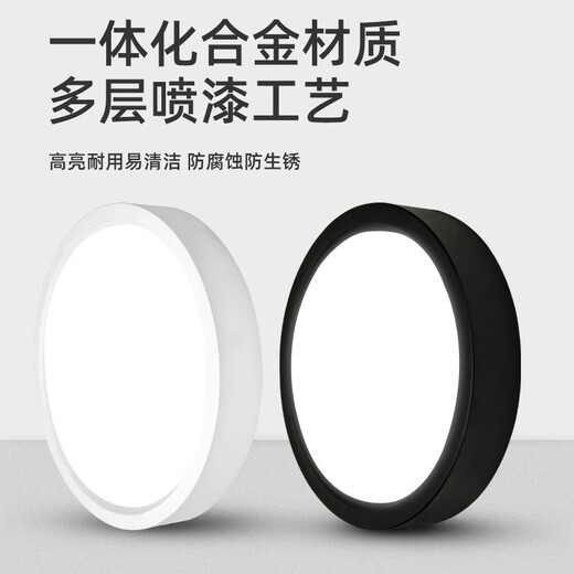 Biuyum ultra-thin surface-mounted downlight, round LED small ceiling installation, ceiling light, aisle light, entrance corridor, entrance ceiling spotlight, white-30W-white light