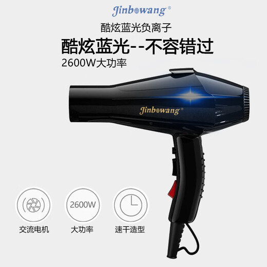 Jinbowang 9930 Friseursalon Professionell Haartrockner Blaues Licht Negative Ion Hochleistungshaarschneidstab Haartrockner Beliebtes Schwarz und Grün - National Standard Drei Stecker