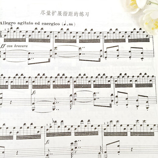 Versión oficial genuina de Cheerny Piano Etudes 50 piezas, hábiles ejercicios técnicos con dedos 740 (699) Versión clásica de los libros de texto de mediano y avanzado, tutorial de puntaje de libros rojos Etudes Libros People's Music Publishing House