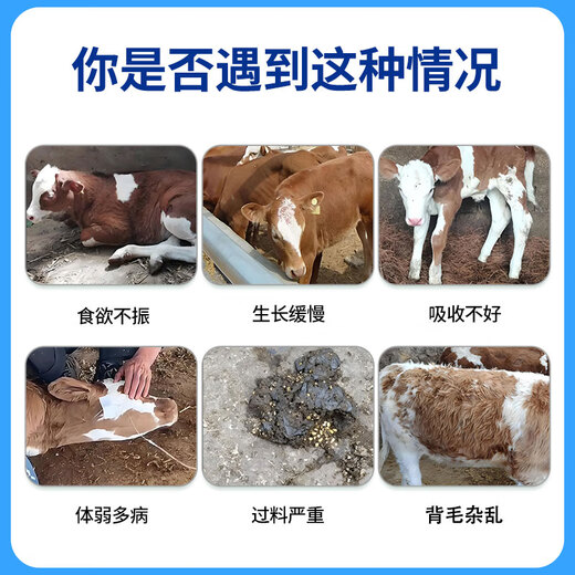 Yingmeier fattening cattle premix treasure weight gain king hormone drug concentrated fertilizer beef cattle feed wholesale calf premix 20kg*2 bags