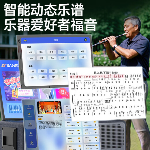 Shanshui (Sansui) Home KTV Audio Set Audio Audio Audio Amplifier All-in-Outhor Audio Audio Karaoke Canción de Karaoke Song Order Machine Bluetooth El altavoz Bluetooth puede conectarse a TV Q128 Gran 12 pulgadas [Voz mejorada] 500G Bracket