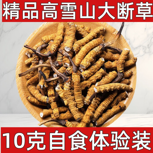 Cordyceps sinensis high-altitude cordyceps sinensis genuine nourishing 20 grams for 2 grams for self-use authentic home outfit. Tibet Nagqu fine big broken grass buy 30 grams for 3 grams for free