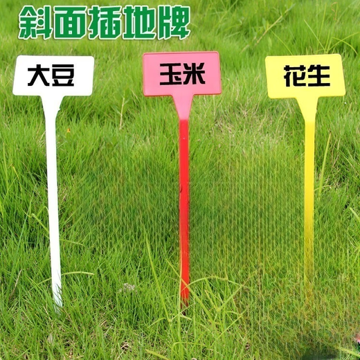 Sumo bow-shaped ground inserting label, sloped ground inserting label, gardening fruit and vegetable inserting label, integrated sloped surface 30cm, yellow small sloped surface, height 30cm, 100 pieces