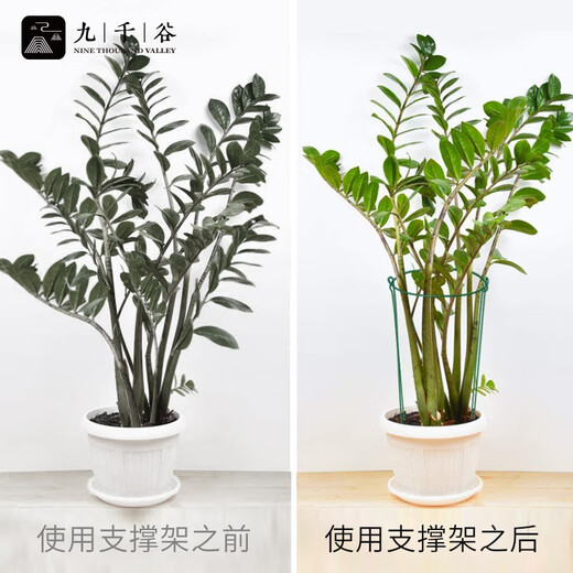 Jiuqiangu plant support frame support bracket gardening flower stand balcony climbing vine leaf guard semicircle 35*70CM 2 pairs set 8373