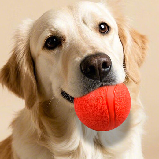 ZanChong Pet Dog Teething Training Ball 4 Pack Puppy Small Dog Toy Bite-resistant Teething Ball Pet Puppy Small Self-Happiness