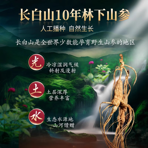 Jinpai Vatertag Geschenk 38 Grad Ginseng Antler Jinjiu Geschenkbox Gesunde Wein Hirsche Geweih Ginseng Ginseng Lycium Berry Angelica Angelica Astragalus Zutaten 38 Grad 50 ml 1 Flasche Ginseng Antler Tasting Wein