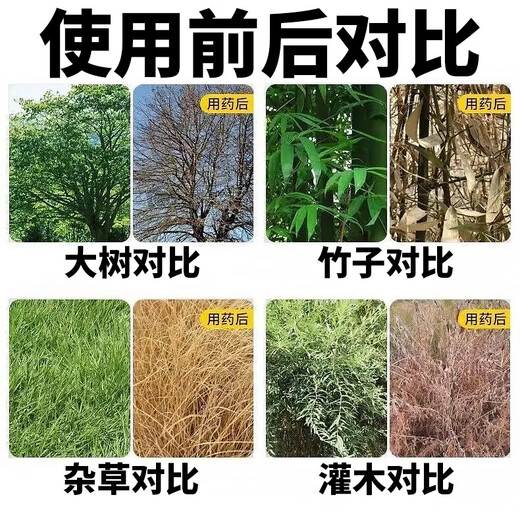 Cyclazinone is a special medicine to remove dead trees and rotten roots of large trees. Herbicide is a special medicine to remove big trees and remove rotten roots of bamboo. Genuine Cyclazinone 20Jin Jin is equal to 0.5kg