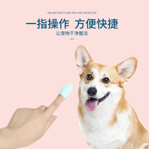 Cat Black Chin Cleaning Brush Silicone Brush Cleans Pets Cats and Dogs Comb Chin Wipe Magic Tool to Clean Blackheads Random Colors 2 Pack