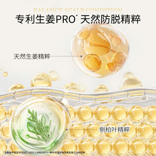 Ziyuan Anti-detachment Strong and Tough Oil Control Shampoo 1055ml Ginger Hair Solid Set Orchidaceae Shampoo Silicone Oil-free Shampoo
