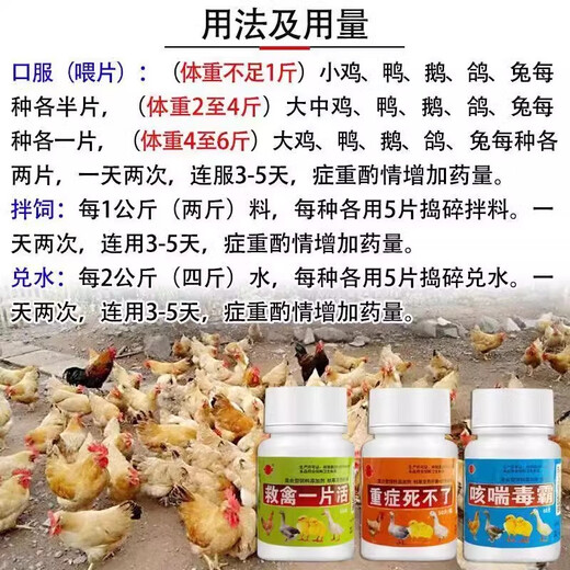 LISM poultry feed additive is used to save poultry, chickens, ducks and geese that are unable to die due to serious illness. 2 bottles of medicine are used to save chickens, ducks and geese from diarrhea, diarrhea, bloating, coughing, snoring and drooping wings. 2 bottles of this product are used to save poultry from severe illness.