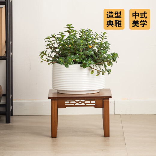 Leshengtu flower stand entrance new Chinese style solid wood floor-standing bonsai stand succulent shelf living room flower stand bay window style LA86