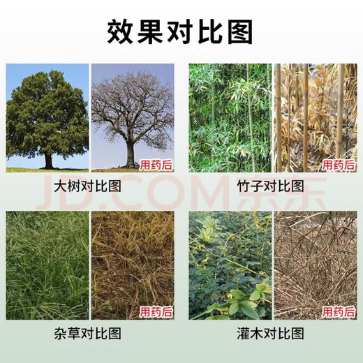环嗪酮25％水剂环嗪酮除大树竹子灌木杂草高浓度杀大树烂根药 25%高浓度10瓶送注射器