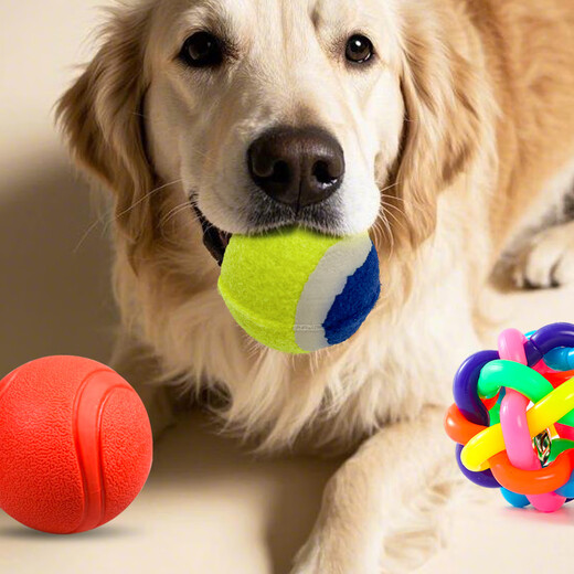 ZanChong Pet Dog Teething Training Ball 4 Pack Puppy Small Dog Toy Bite-resistant Teething Ball Pet Puppy Small Self-Happiness