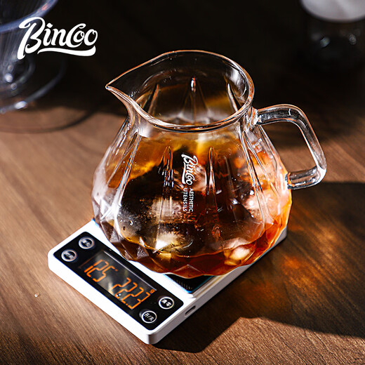 Bincoo glass hand brewed coffee pot cooled iced American tasting cup cold brew pot hand brewed sharing pot