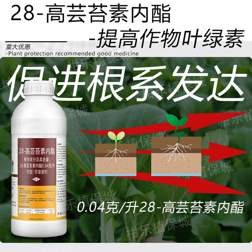 Bangsec 0.04g/L 28-high brassinolide rooting and seedling strengthening, quality improvement, flowering and fruit stabilization plant growth regulator 1000ml