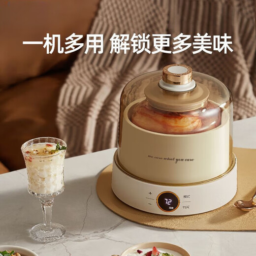 哲初德国酸奶机家用纳豆机玻璃内胆自制酸奶纳豆甜米酒泡菜发酵机 带菌粉【高硼硅玻璃内胆】