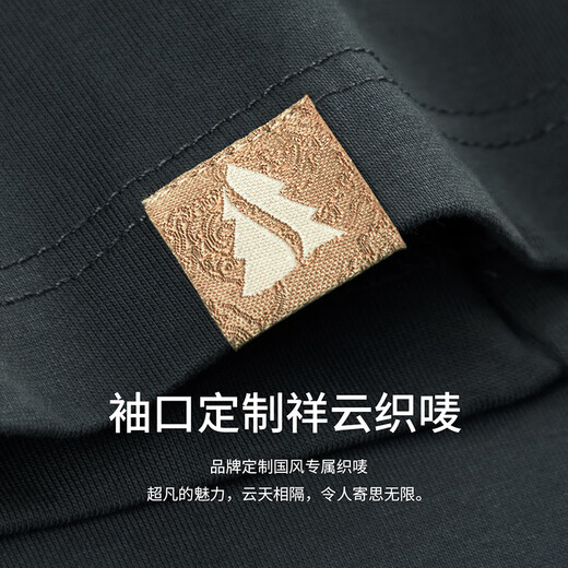 杉杉（FIRS）抗菌凉感刺绣圆领短袖T恤男2025夏季新款索罗娜冰丝半袖527 石墨灰 L 175/92A