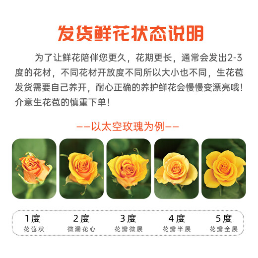 Jingdong Flowers Mengxue Roses 10 Ruyi Base Fresh-cut Flowers Water-raised Flower Arrangements Lifestyle Bouquets Gifts Straight from the Source