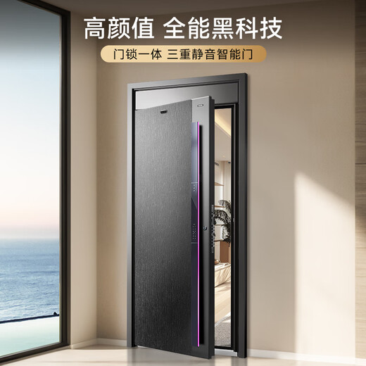 亚太天能一体化智能门AI三摄防盗监控入户门全自动进户门子母大门M3max M3max外开宽单门（1050*2050）