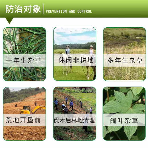 Lima 75% methylsulfuron herbicide has been used to eradicate weeds for three years in wasteland roads, railways and airport parking lots without grass growing.