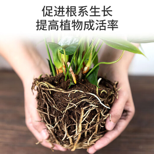 Manlife 16L Bird of Paradise nutritional soil for growing flowers and vegetables, special soil for growing peat soil, organic soil for planting soil, coconut bran green plants