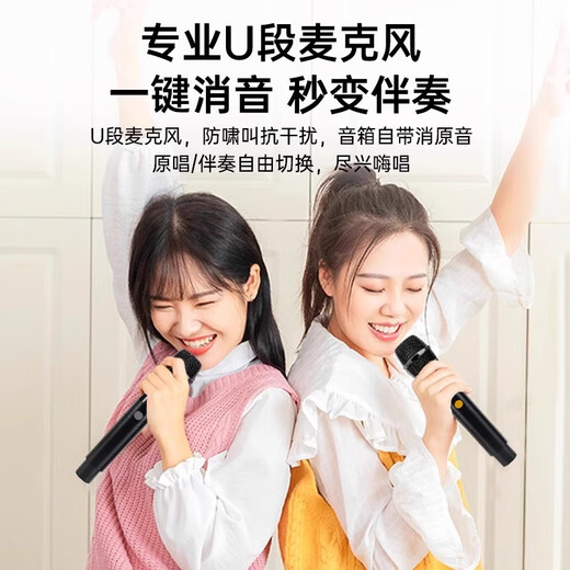 NINTAUS square dance audio outdoor K-song and dance performance pull rod mobile Bluetooth speaker store dedicated large volume 800 square meters 15-inch bass + new upgraded version