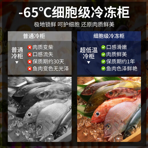 Avionics minus 60-minus 80 degrees horizontal commercial large-capacity cryogenic rapid freezing ultra-low temperature freezer household seafood freezer scientific research laboratory bio-dry ice-40 industrial refrigerator minus 40 degrees to minus 86 degrees 138 liters