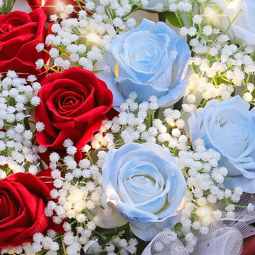 Huawang Flower Express Flower Gift Broken Ice Blue Rose Confession to My Girlfriend’s Birthday Gift Lesbian City Delivery On Day [Sun and Moon Accompaniment] 5 Broken Ice Blue + 6 Roses dy684