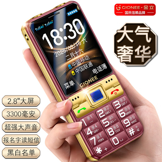 金立（Gionee）G520 4G全网通老人手机 超长待机2.8英寸大屏大字大声大按键老年机 学生备用功能机双卡双待 红色	