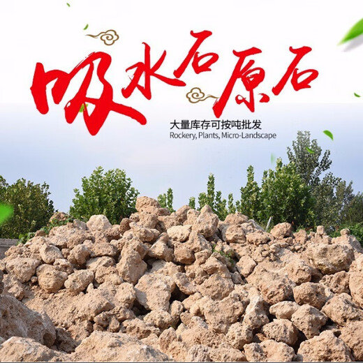 Stone flowerpot absorbent stone water stone original stone natural flowerpot with asparagus bamboo calamus succulent plant micro landscape pot 13-17cm stone pot + tempered rectangular holder