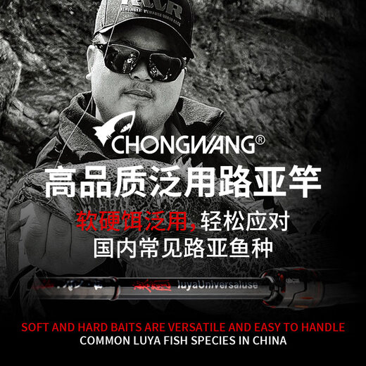 虫王入门专用路亚竿超快调枪柄直柄鲈鳜鱼翘嘴泛用虫竿 2.04m 虫王临枪柄682-M