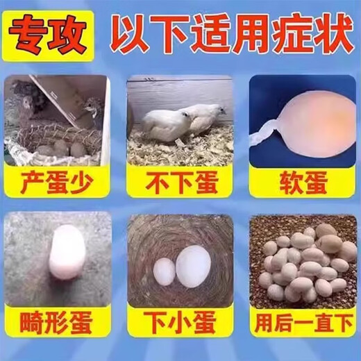 Huazhu hens special medicine for laying soft eggs, chickens, ducks, geese and poultry general sand shell egg deformity calcium supplement growth promotion feed additive in one bottle to say goodbye to soft eggs