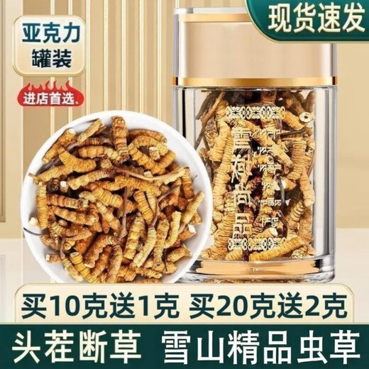 Cordyceps sinensis high-altitude cordyceps sinensis genuine nourishing 20 grams for 2 grams for self-use authentic home outfit. Tibet Nagqu fine big broken grass buy 30 grams for 3 grams for free
