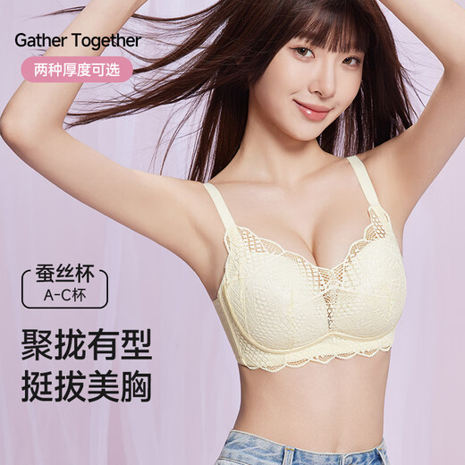 雅鹿内衣女无钢圈小胸聚拢收副乳防下垂纯欲性感女士蕾丝文胸罩 天蓝色 75B 【34AB,厚度约2.5cm】