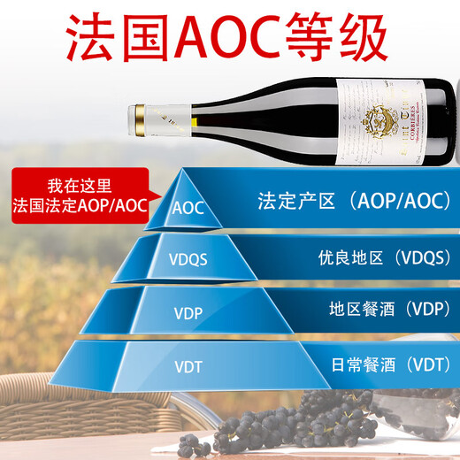 圣汀格（SAINT TINGE）法国原瓶进口红酒 金奖AOC级 14.5度干红葡萄酒 婚宴自饮节日送礼 【金奖红酒】单支装750ml*1瓶