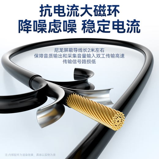 Wise Nation 700W Teachers and Students Choice Headphones Headphones for English e-Listening and Listening Tests for Middle and High Special Listening and Speaking Earphones Recording Oral Learning with Microphone USB Interface Student School