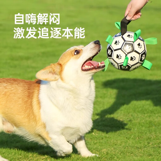 HELLOJOY Dog Toy Football Border Collie Pet Puppy Medium and Large Dog Corgi Interactive Bite Resistant Boredom Relief Training Toy Supplies