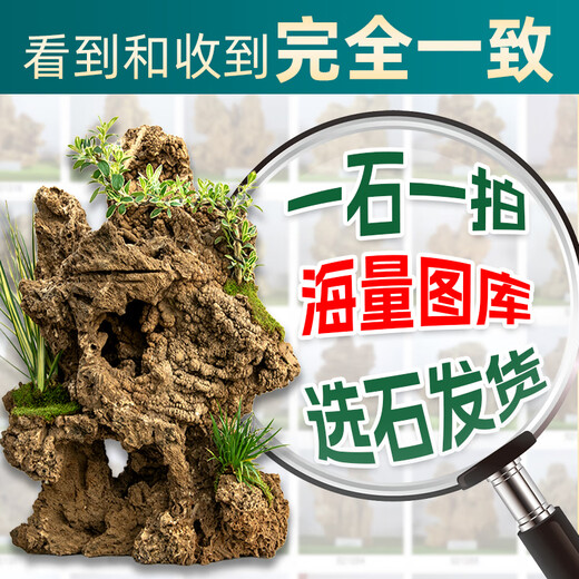 High-quality water-absorbing stone bonsai fish pond rockery micro-landscape decoration natural rockery stone landscaping raw stone high-quality 80-89cm water-absorbing stone without basin