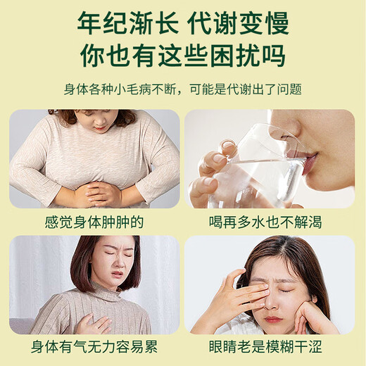 福东海青钱柳玉米须西洋参灵芝桑叶茶【30包】大麦橘皮桑叶栀子茶泡水