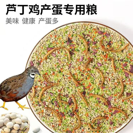 Special feed for rutin chicken, rutin chicken egg production feed, mealworm brooding feed, quail feed, high protein 3Jin Jin is equal to 0.5 kg, egg production food containing mealworms, dried vegetables