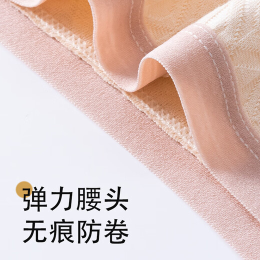 莫代尔内裤女士纯棉100A类全棉夏季薄款无痕抗菌少女大码中腰三角短裤 云粉+浅蓝+奶杏+芋紫 4条 L 【建议100-125斤】