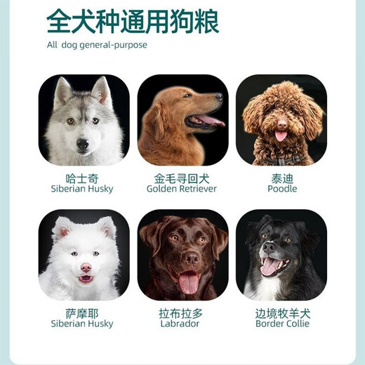 Chinese Pastoral Dog Food Dog Girl General Beef Flavor Bulk Food 10 Jin Jin is equal to 0.5 kg. Packed into puppy local dog food 5 kg kg 0 kg dog food beef flavor 10 Jin Jin is equal to 0.5 kg