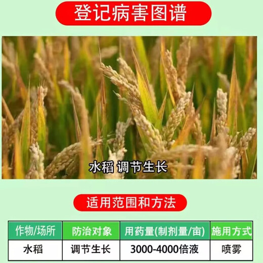 14-Hydroxybrassinolide sterol anti-stress increase yield antidote pesticide damage plant growth regulator 100g*80 bottles