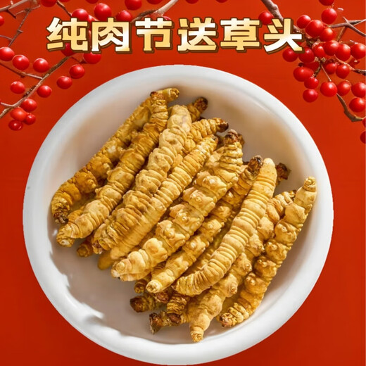 万草康仁冬虫夏草断草藏区断虫草断草中老年营养品整肉节虫草酒保健品 精选纯肉体【 30克尊荣礼盒装】 送同款虫草1克