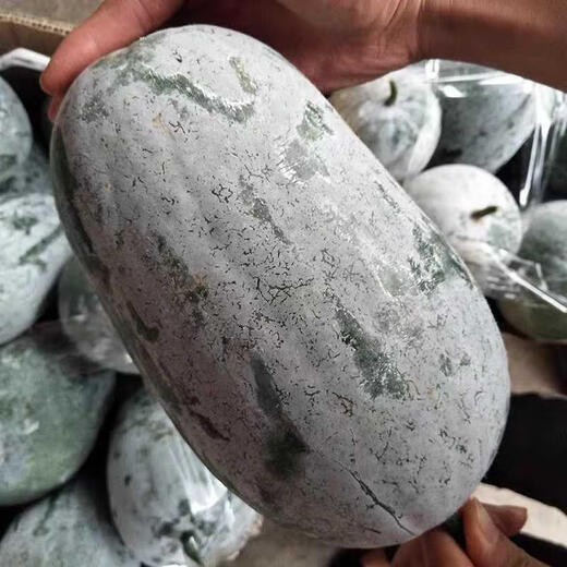 Local old variety short white haired winter melon seeds traditional large winter melon farm taste pink skin winter melon seeds 10 pieces
